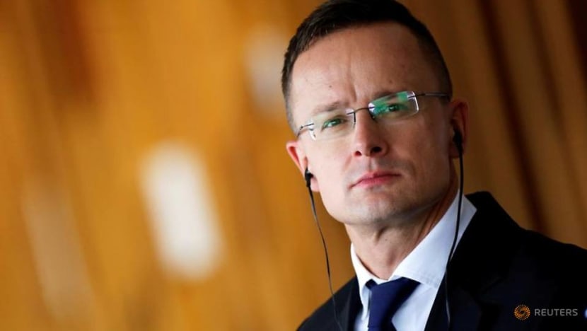 Vacation on tycoon's yacht is 'my private life': Hungary foreign minister Vacation on tycoon's yacht is 'my private life': Hungary foreign minister