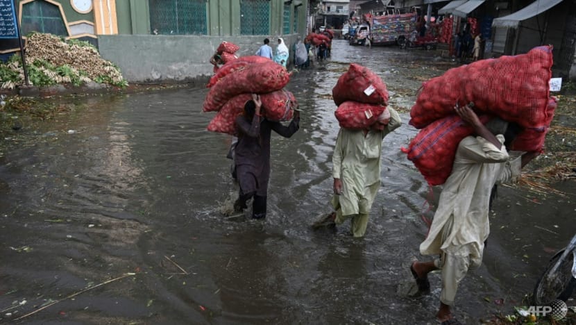 Pakistan floods: Better planning could have limited loss of life, immediate concerns include food security, say experts