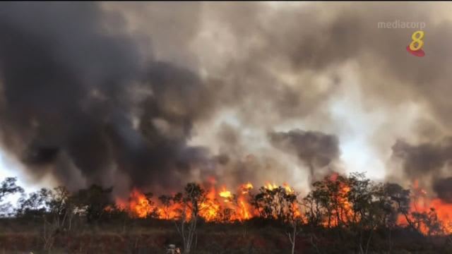 疑因放天灯酿成大火 巴西2000公顷生态公园连续两天狂烧