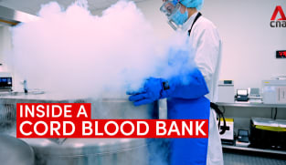 Inside a cord blood bank: How umbilical cord blood is stored at -180 degrees Celsius | Video