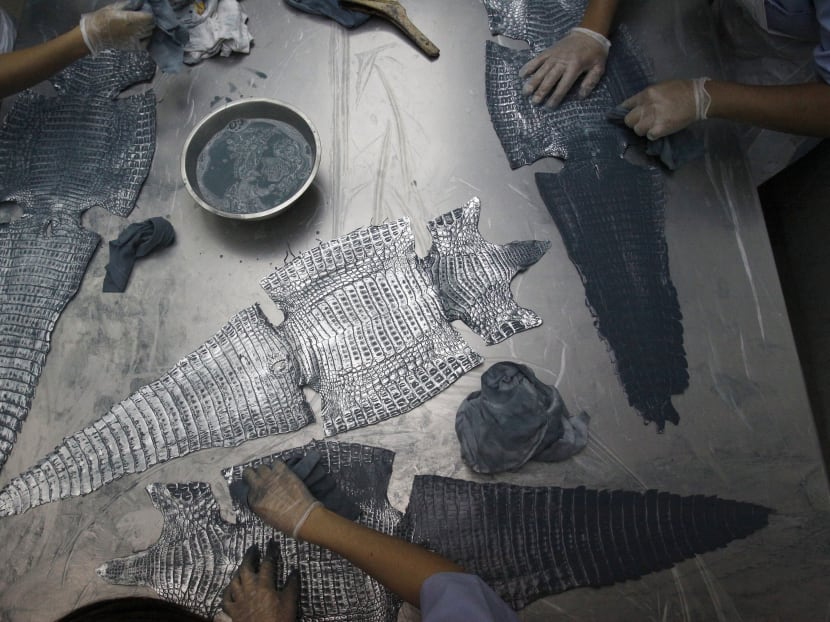 Singapore tanneries: Africa’s largest market for reptile skins in Asia