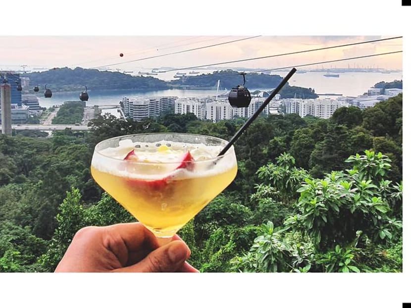 Come ‘fly’ with me: What it’s like on board SIA’s cable car dining experience