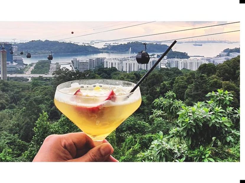 Come 'fly' with me: What it's like on board SIA's cable car dining experience Come 'fly' with me: What it's like on board SIA's cable car dining experience