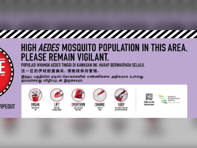 Dengue cases rising sharply in Singapore, 'urgent collective community effort' needed to fight surge: NEA
