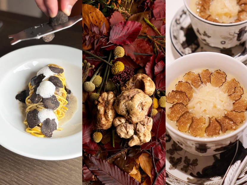 On the hunt for truffles in Italy – and where to find them in Singapore On the hunt for truffles in Italy – and where to find them in Singapore