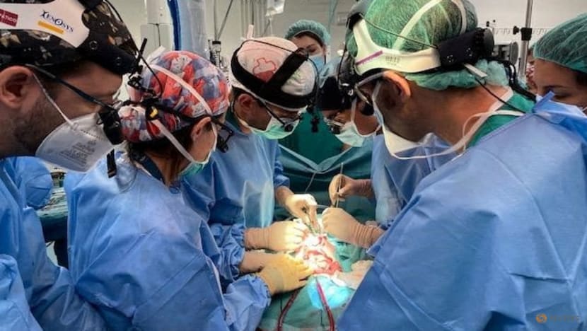 Spanish baby gets pioneering intestine transplant Spanish baby gets pioneering intestine transplant