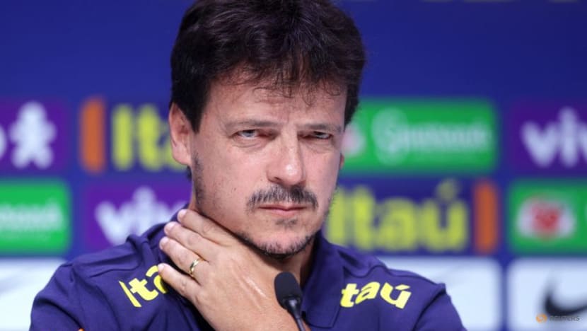 Diniz dismisses idea of Ancelotti interference with Brazilian national team