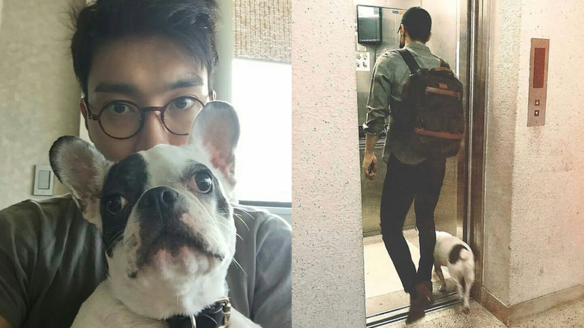 People Are Turning Against Choi Siwon After His Dog Causes Death Of Neighbour People Are Turning Against Choi Siwon After His Dog Causes Death Of Neighbour