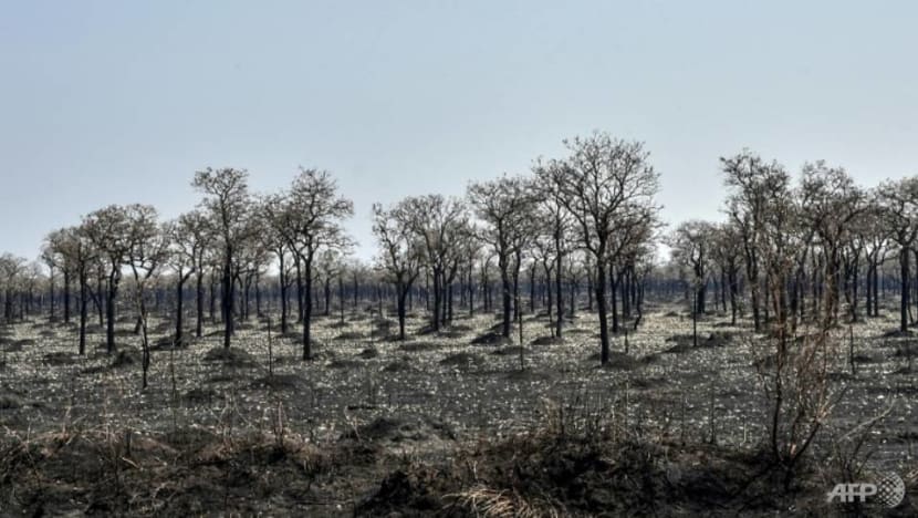 Fashion label Chanel invests US$25 million in new climate adaptation fund Fashion label Chanel invests US$25 million in new climate adaptation fund