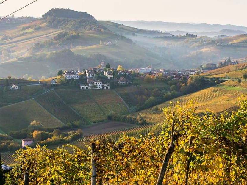 Why the Italian wine region of Barolo should be on your travel bucket list Why the Italian wine region of Barolo should be on your travel bucket list