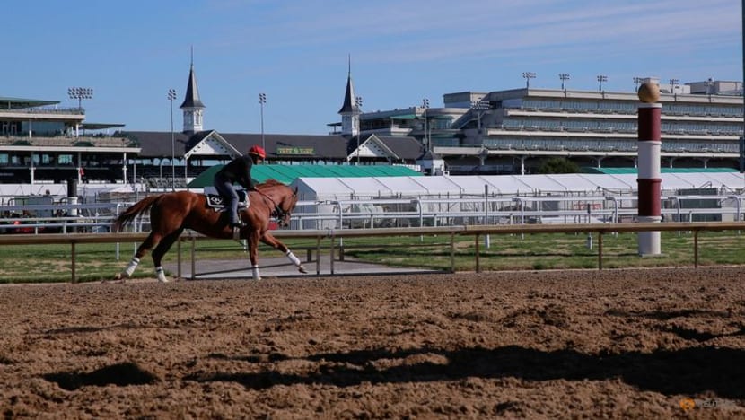 Horse racing-Kentucky Derby goes on after four horse deaths at facility