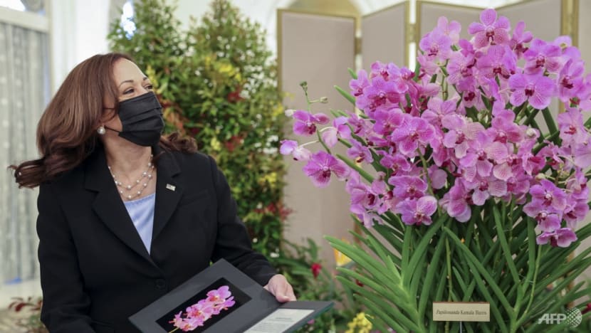US Vice President Kamala Harris receives namesake orchid, official welcome at Istana US Vice President Kamala Harris receives namesake orchid, official welcome at Istana