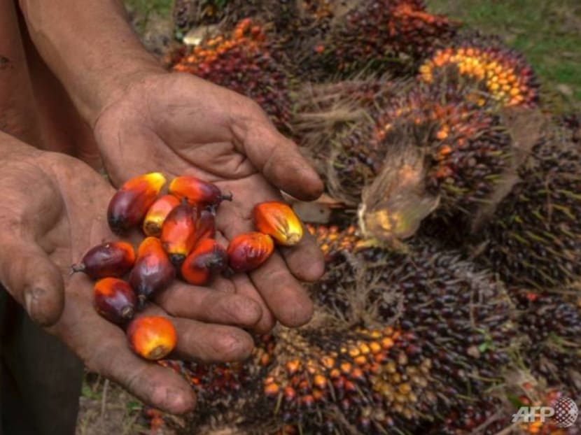 Commentary: Who's to blame for Indonesia's palm oil export ban?