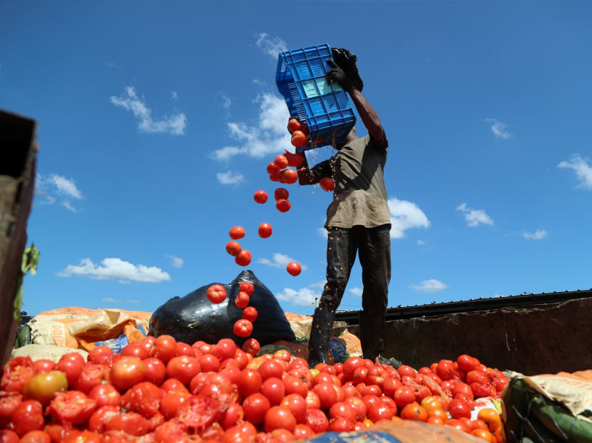 A worker gathers fresh produce that is being discarded as fewer people are shopping at the markets in Santo Domingo, Dominican Republic due to the Covid-19 pandemic. The pandemic has wreaked havoc on the supply chains as governments in many countries impose lockdowns to curb the spread of the virus. A worker gathers fresh produce that is being discarded as fewer people are shopping at the markets in Santo Domingo, Dominican Republic due to the Covid-19 pandemic. The pandemic has wreaked havoc on the supply chains as governments in many countries impose lockdowns to curb the spread of the virus.