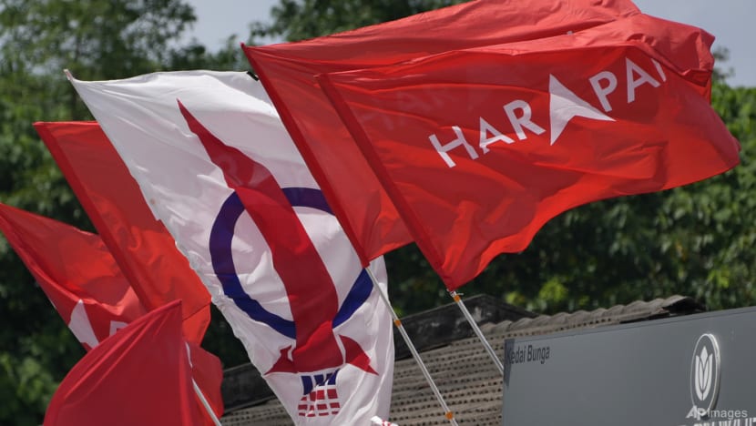 Pakatan Harapan politicians lodge police reports over comments that could incite hatred in Malaysia