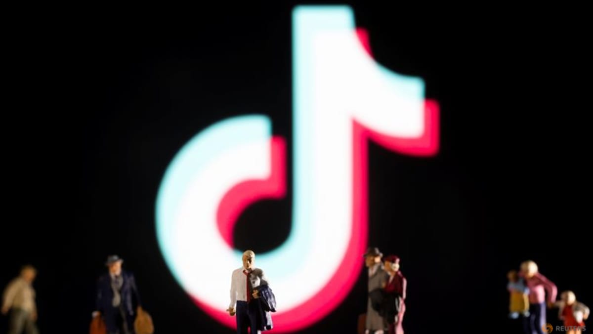 Italy regulator fines TikTok $11 million over inadequate checks on harmful content