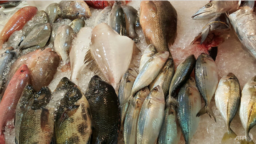 Harga ikan naik jelang Tahun Baru Cina dengan sekatan eksport M'sia berkait?