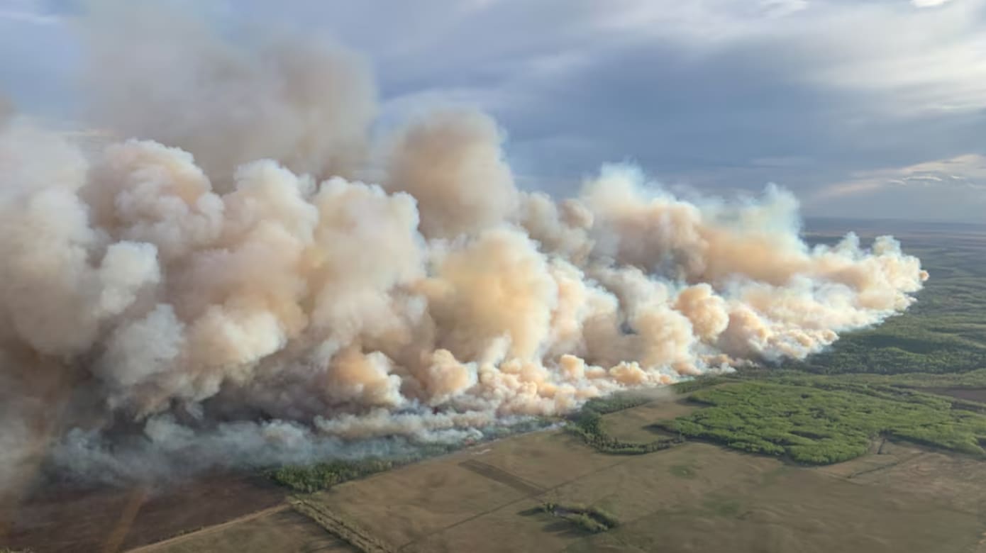 加拿大西部发生大规模林火 数以千计居民被迫疏散