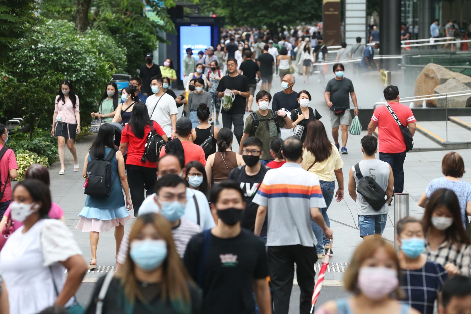 Dragged down by a slowdown in trade, Singapore's economy is also expected to slow further next year, MAS said. Dragged down by a slowdown in trade, Singapore's economy is also expected to slow further next year, MAS said.