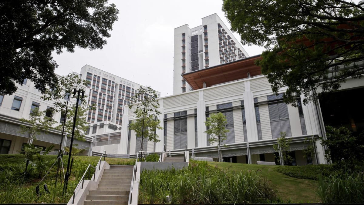 YaleNUS College student body hits out at ‘topdown’ decision to merge