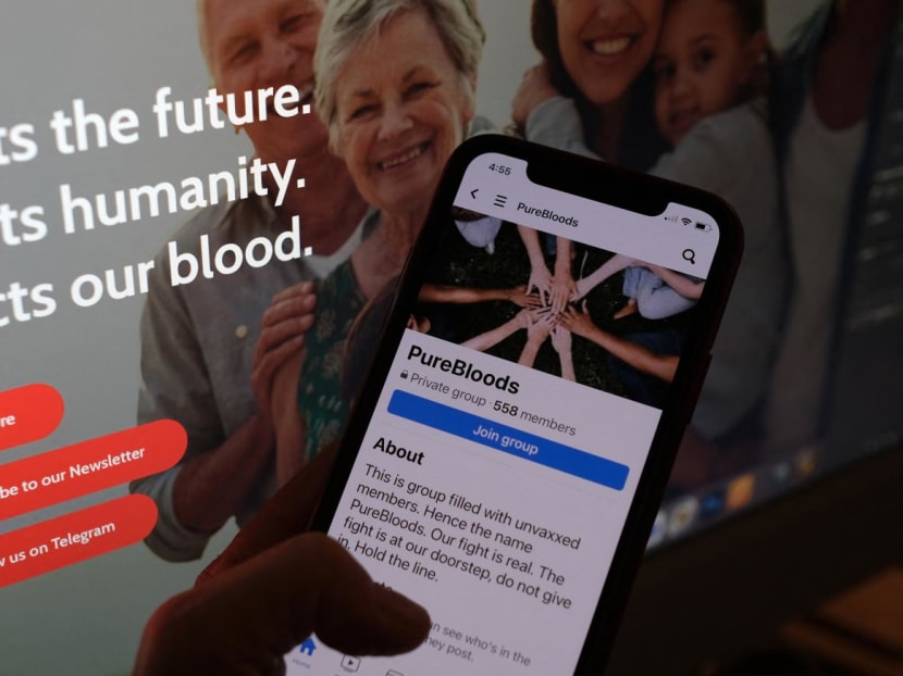 A person looks at anti-vaccine "pure blood" movement websites and Facebook groups in Los Angeles, Jan 20, 2023. A person looks at anti-vaccine "pure blood" movement websites and Facebook groups in Los Angeles, Jan 20, 2023.