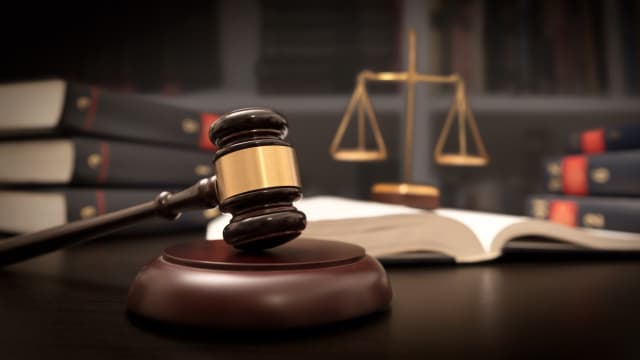 撞伤人还让父亲顶罪坐牢 女子被判入狱17周