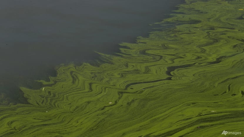 Atmospheric carbon might turn lakes more acidic: Scientists