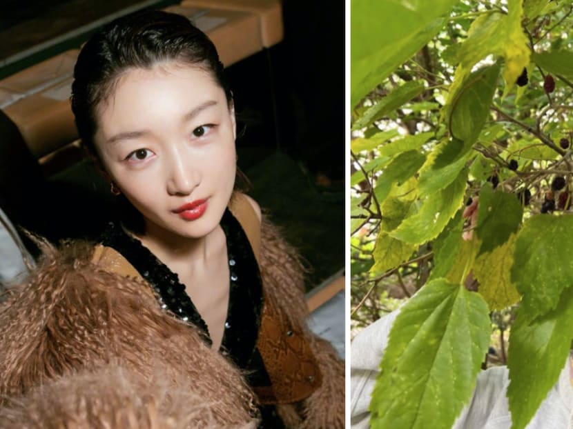 Chinese Actress Zhou Dongyu Called "Inconsiderate" For Plucking Mulberries In Beijing Park