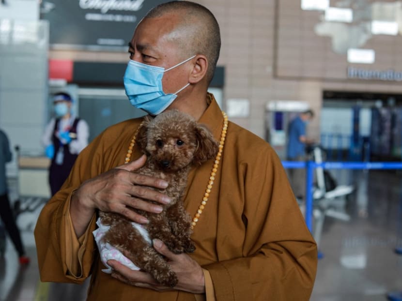 This picture taken on May 26, 2021 shows Buddhist monk Zhi Xiang carrying a rescued dog before sending him to the US at Pudong International Airport in Shanghai.