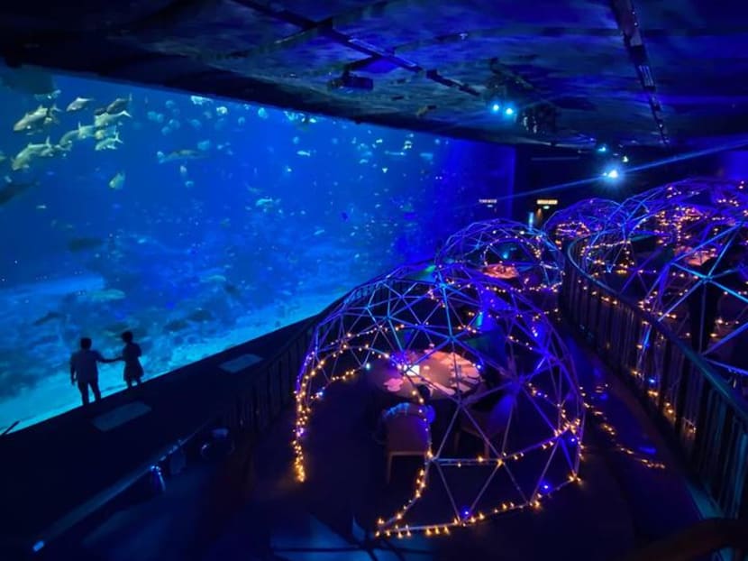 What it’s like to eat fish in an aquarium at Singapore’s only underwater dining pop-up What it’s like to eat fish in an aquarium at Singapore’s only underwater dining pop-up