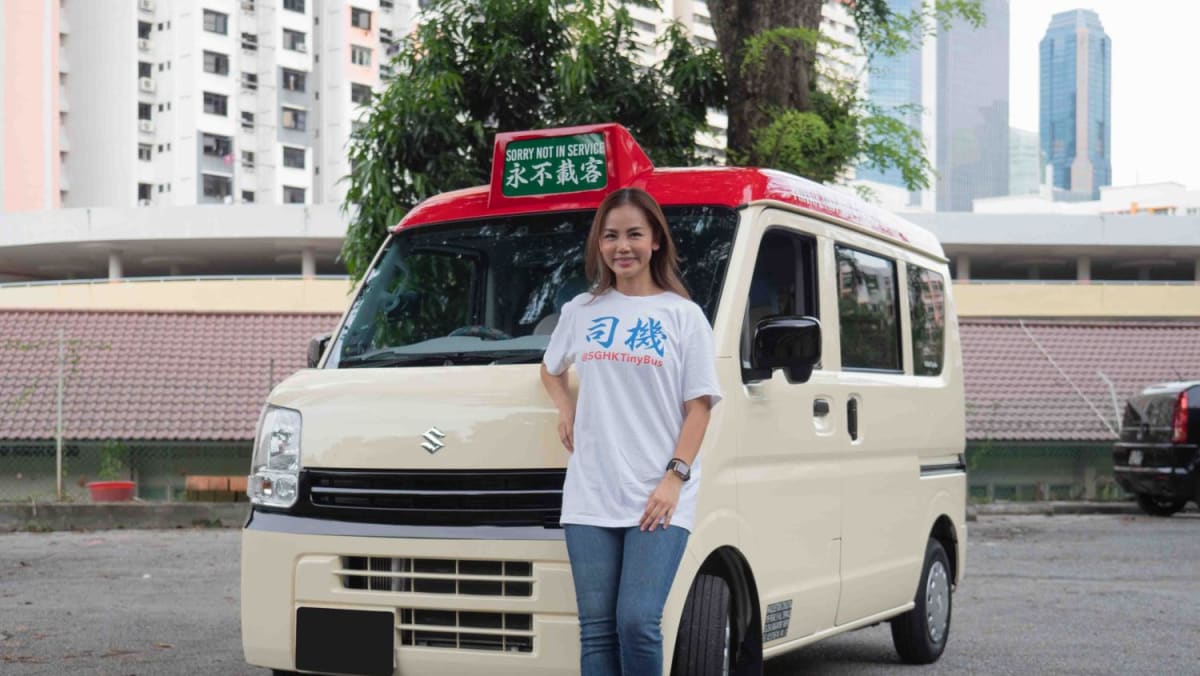 Suzuki every mini bus online