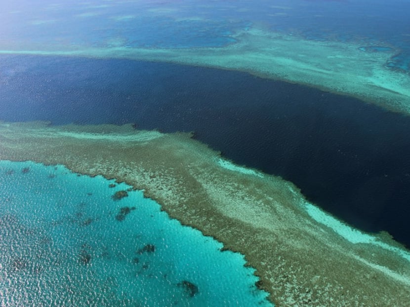This photo taken on Nov 20, 2014 shows an aerial view of the Great Barrier Reef off the coast of the Whitsunday Islands, along the central coast of Queensland.