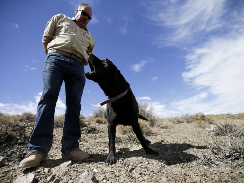 Gallery: Cadaver dog work more accepted by cops, courts