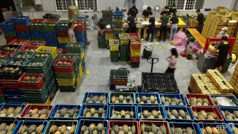 Commentary: China’s pineapple ban another pickle in relations with Taiwan