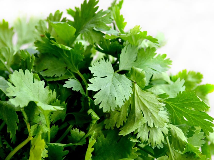Singapore Food Agency officers found 456kg of coriander in the vehicle that was not part of the amount of vegetables declared in the man's permit.