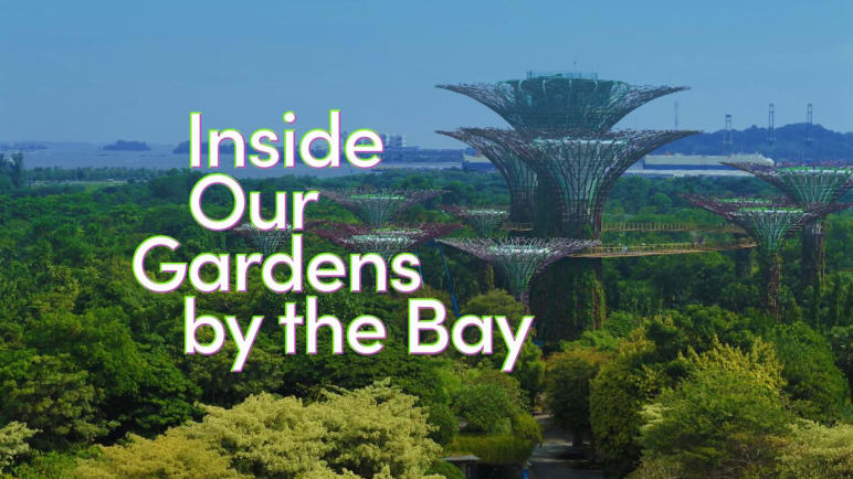 Inside Our Gardens By The Bay