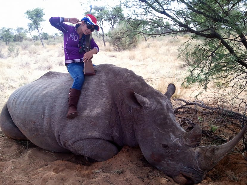 Enterprising criminals in Southeast Asia behind surge in big-game rhino hunting in South Africa