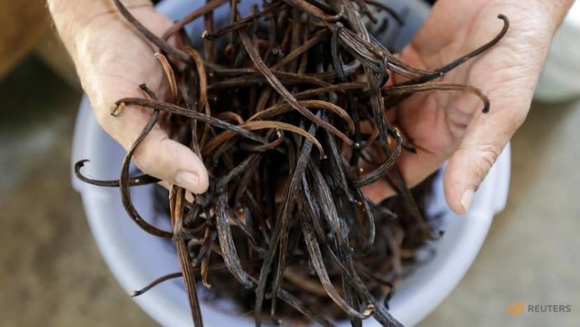 Spice is right as Indonesian startups eye value in vanilla