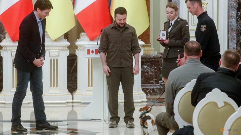 Ukraine's mine sniffing dog Patron awarded medal by Zelenskyy
