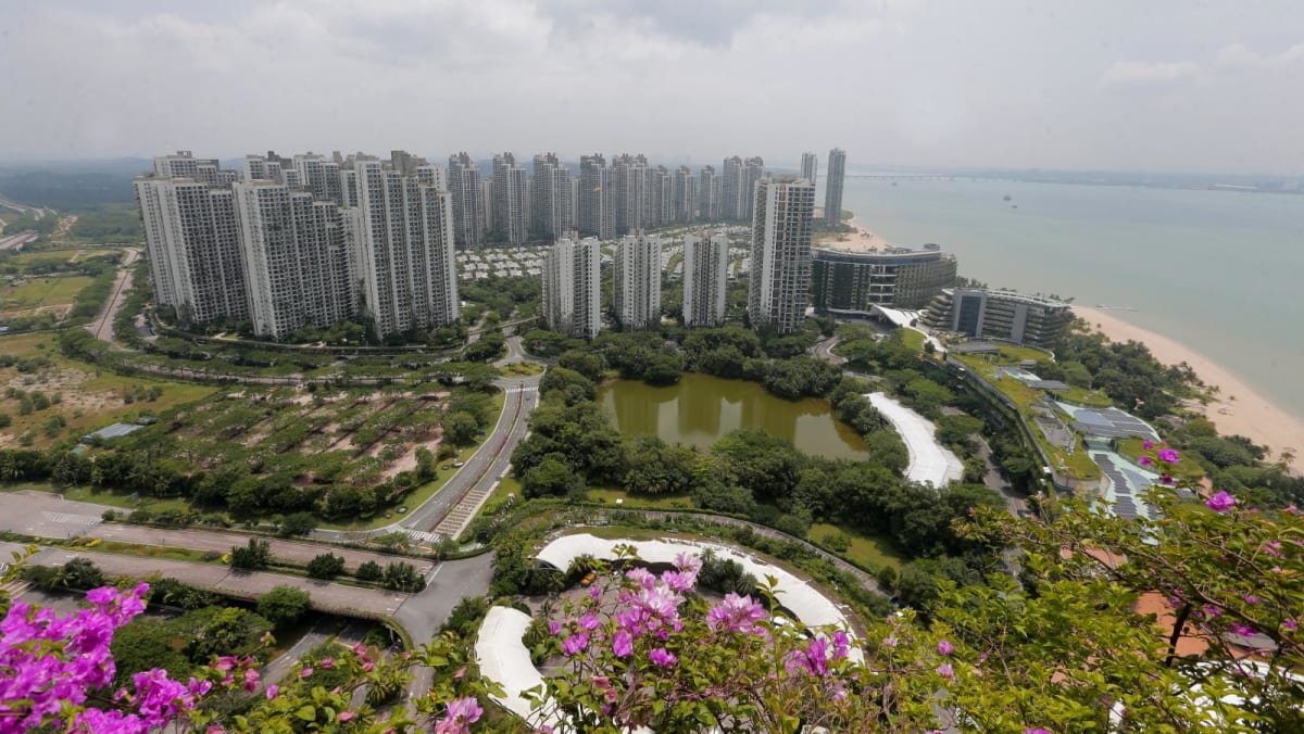 Analysis: Proposed SFZ in Johor’s Forest City requires political will and support from Malaysia, Singapore govts to take off Analysis: Proposed SFZ in Johor’s Forest City requires political will and support from Malaysia, Singapore govts to take off