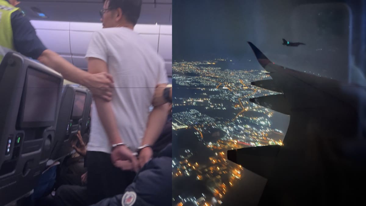 Pria dipenjara karena menampar awak kabin di penerbangan Singapore Airlines SQ33, tuduhan ancaman bom dibatalkan