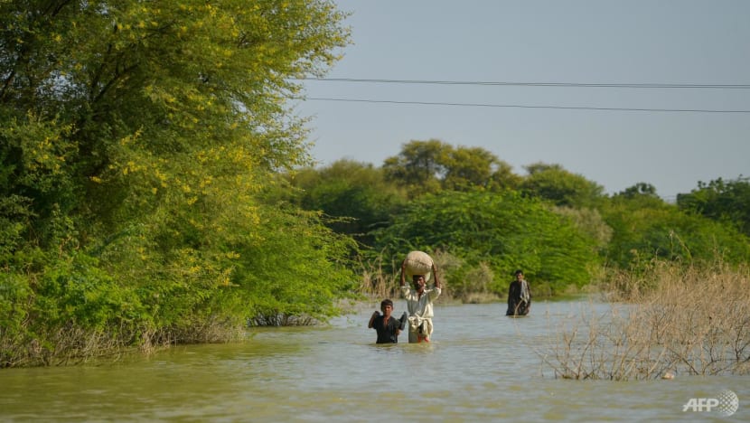 More than S$430,000 raised by Singapore organisations for Pakistan flood victims More than S$430,000 raised by Singapore organisations for Pakistan flood victims