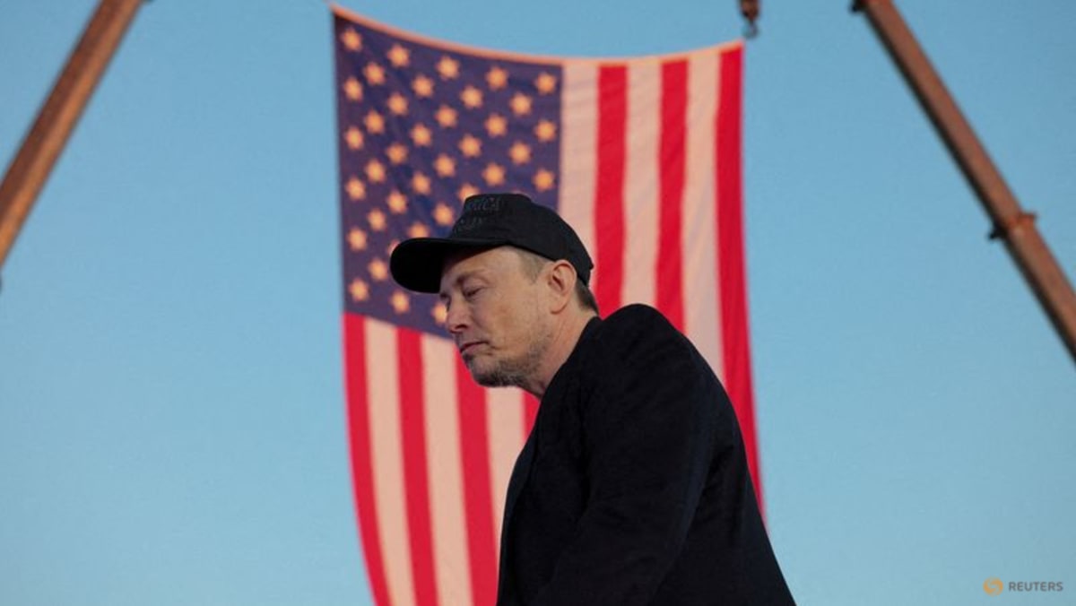 How Elon Musk’s US government efficiency panel might work How Elon Musk’s US government efficiency panel might work