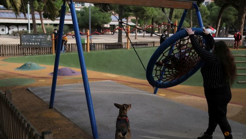 Dog custody: Spain to consider pets' welfare in divorce battles