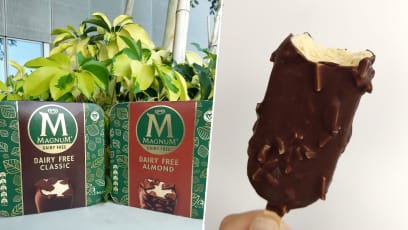 Magnum Dairy Free Vegan Ice Cream Taste Test: Nice Or Not?