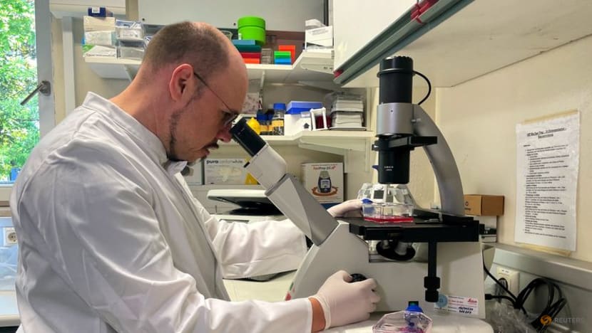 Germany to release monkeypox guidance, mulls vaccine options Germany to release monkeypox guidance, mulls vaccine options