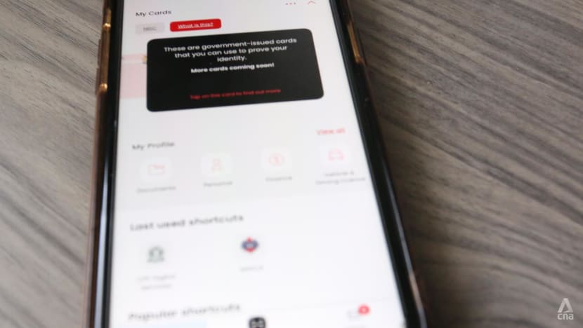 New laws passed to give police more powers to prosecute money mules, those who sell Singpass details to scammers New laws passed to give police more powers to prosecute money mules, those who sell Singpass details to scammers