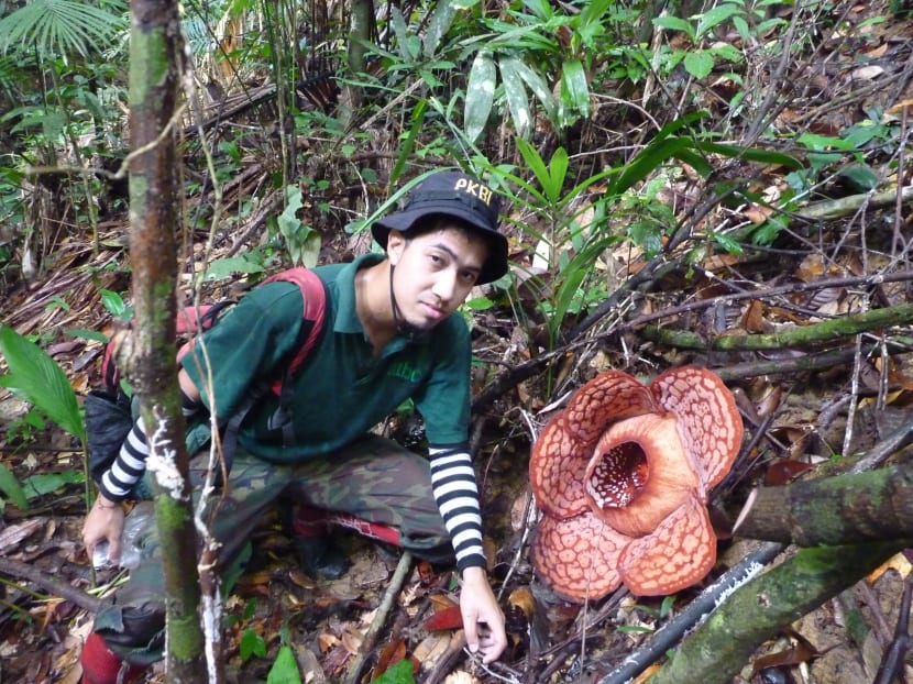 The Big Read: Heeding the call of the wild, S’porean conservationists make their mark abroad