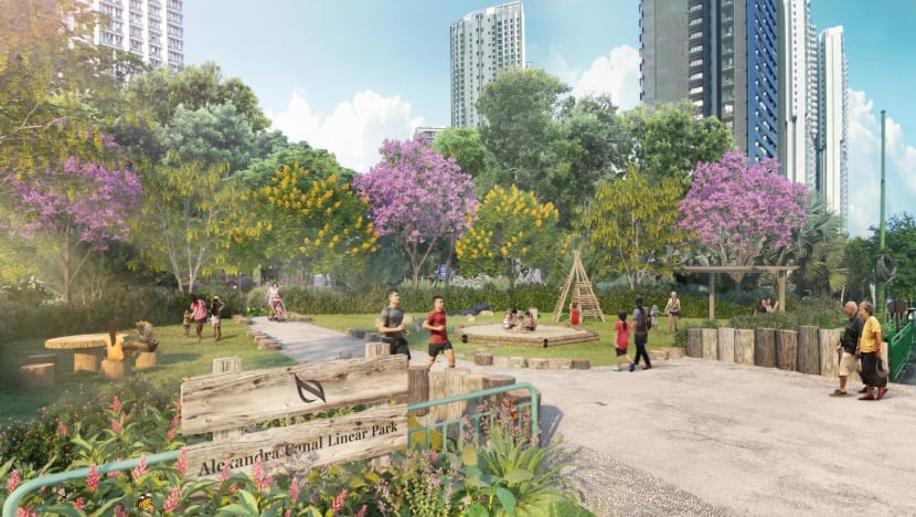 Queenstown rejuvenation to include more senior-friendly amenities