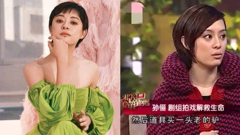 Sun Li Once Saved A Donkey From Being Blown Up For Real During A Drama Shoot